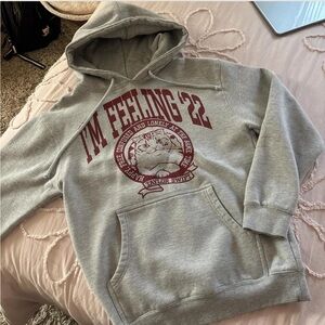 taylor swift i’m feeling ‘22 cat grey hoodie